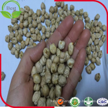 Low Price Cheap 8mm Chickpeas Kabuli Grade